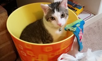 切尔西惨败埃弗顿四连败阴云笼罩争四前景愈发黯淡